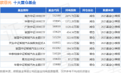 5月6日欧菲光涨541%南方中证1000ETF基金重仓该股